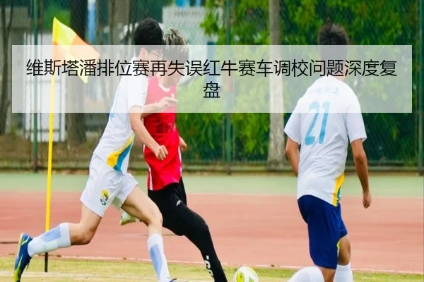 维斯塔潘排位赛再失误红牛赛车调校问题深度复盘